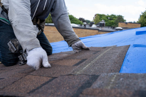 Best Roof Restoration Services  in Wilson, OK