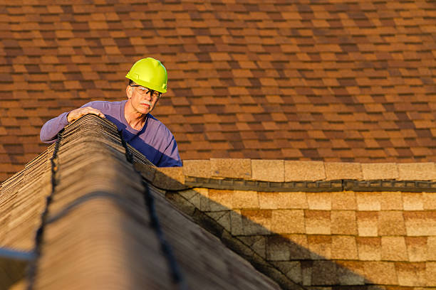 Best Roof Replacement Cost  in Wilson, OK