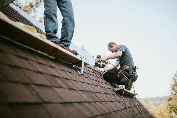Best Roof Leak Repair  in Wilson, OK