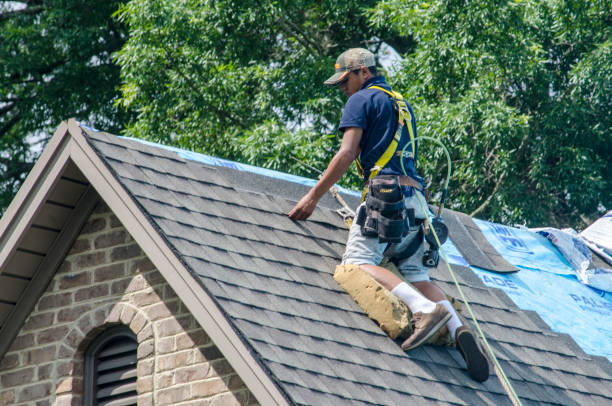Best Roofing Contractor Near Me  in Wilson, OK